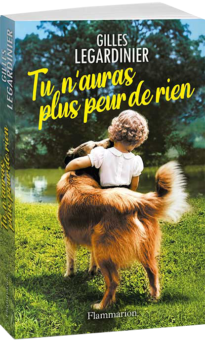 tu-n-auras-plus-peur-de-rien-3D